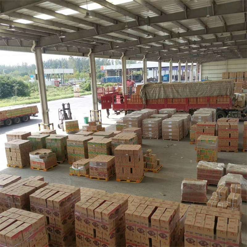 云梦县大田镇物流：多样化运输服务与线路探秘