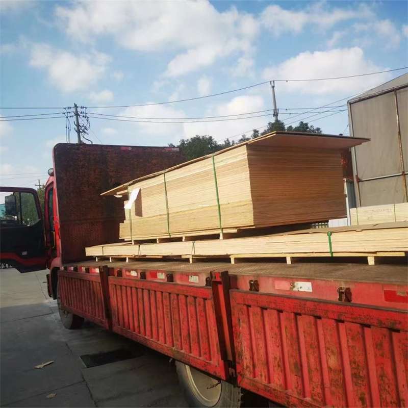 云梦县通化市物流运输：多元服务与高效线路探秘