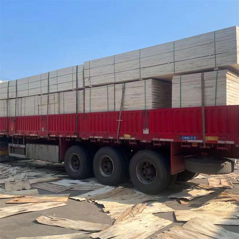 云梦县察隅县物流专线：探索大件出口快运的奥秘