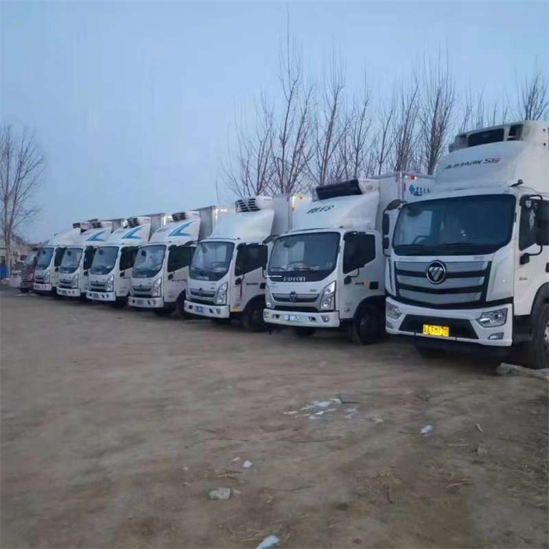 云梦县安塞区物流专线：大件货运与出口快运的多维探索