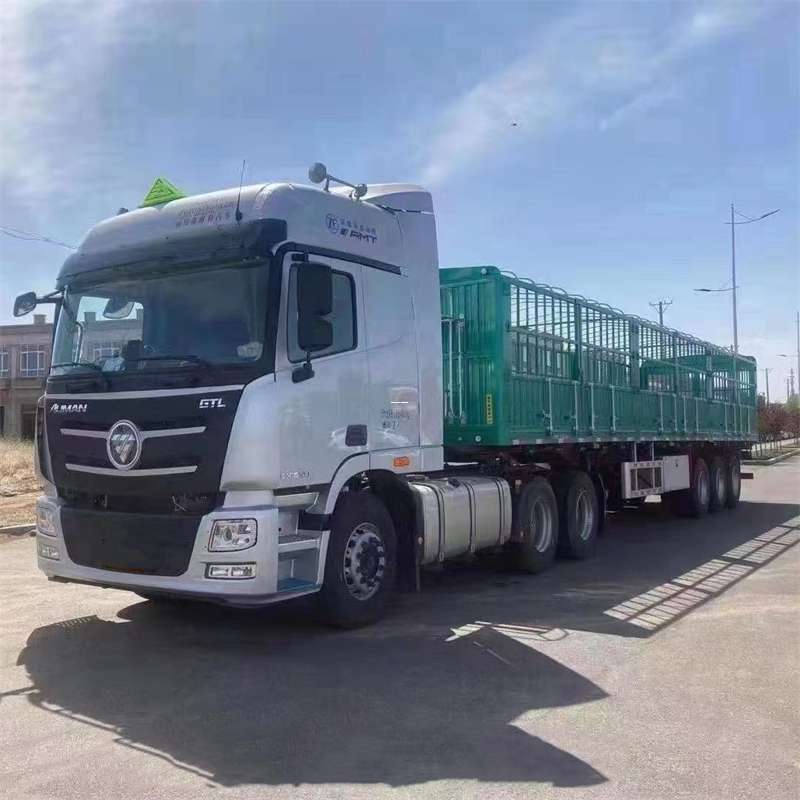 云梦县勐海县物流专线运输：全方位服务探索